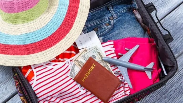 Imagen asociada a Andean migratory status: everything you need to know